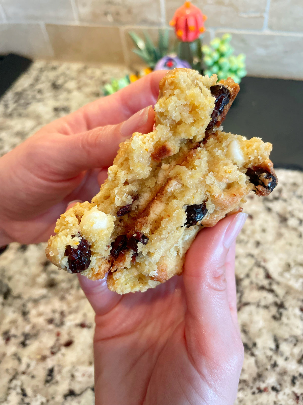 Orange Cranberry Chips