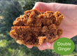 Double Ginger