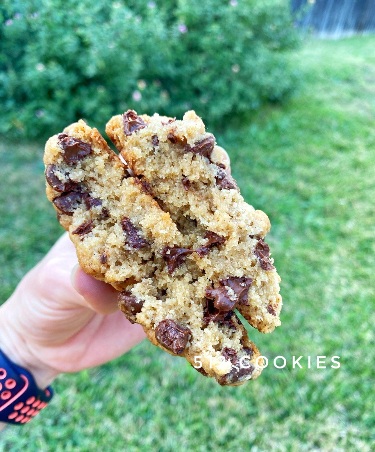 Orange Chocolate Chip