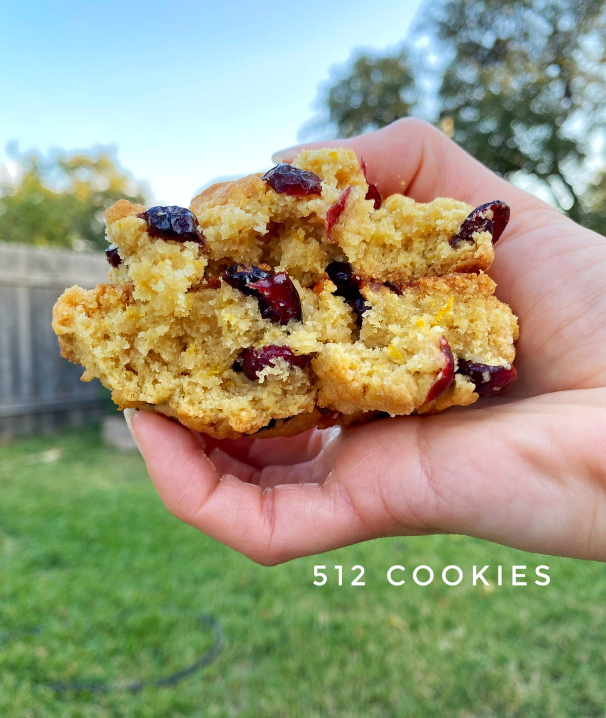 Orange Cranberry Chips
