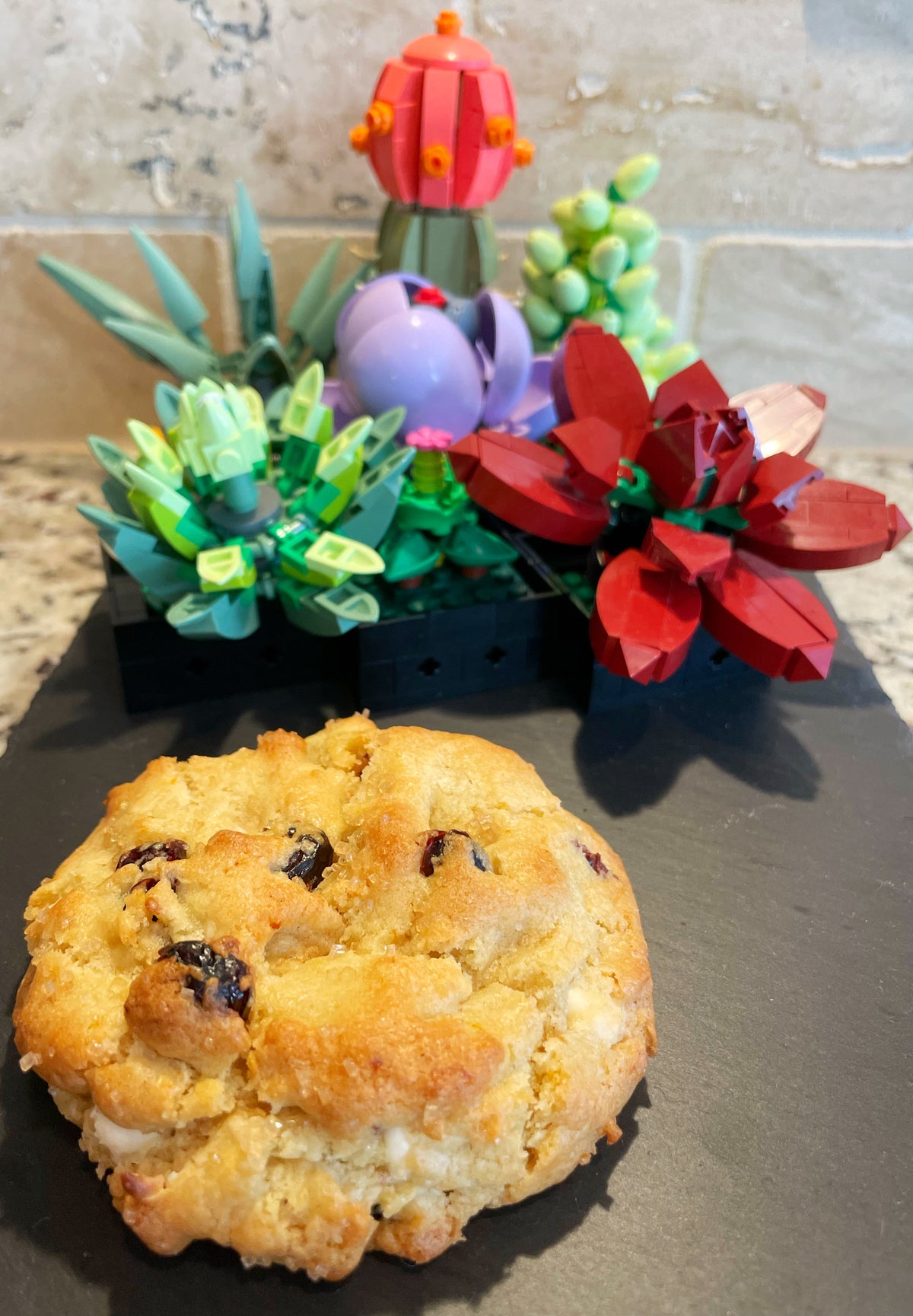 Orange Cranberry Chips